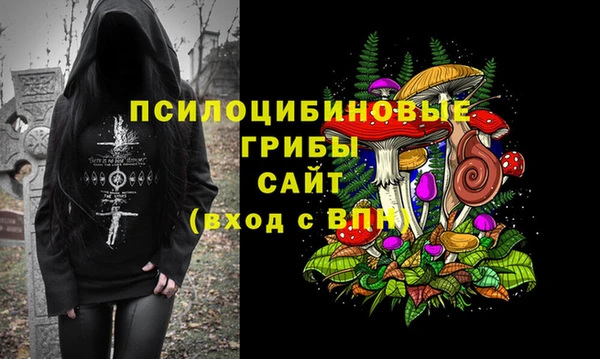 MESCALINE Белокуриха